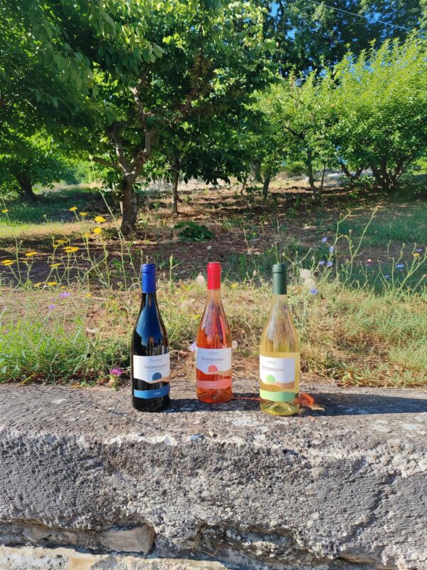 Box "Tre Vini una sola Terra"